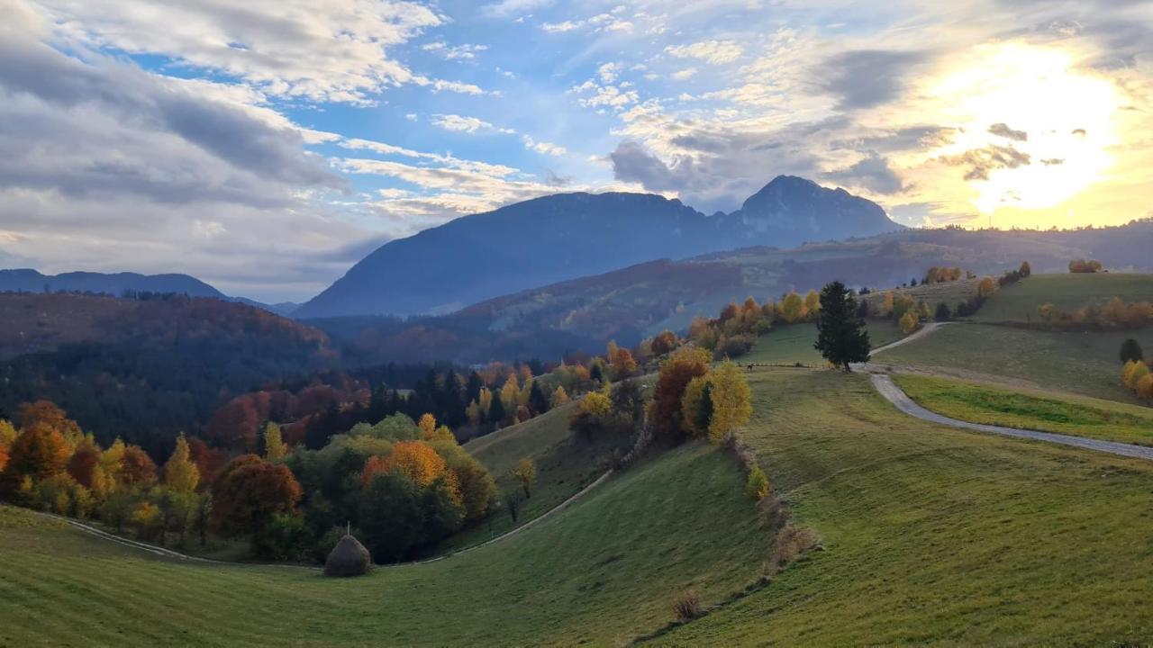 My Little Village Poiana Mărului Zewnętrze zdjęcie