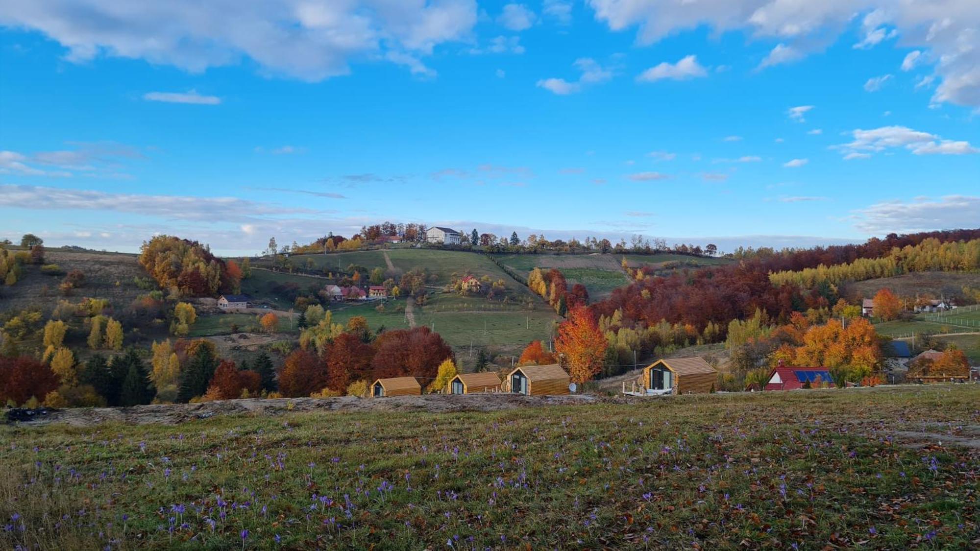 My Little Village Poiana Mărului Zewnętrze zdjęcie