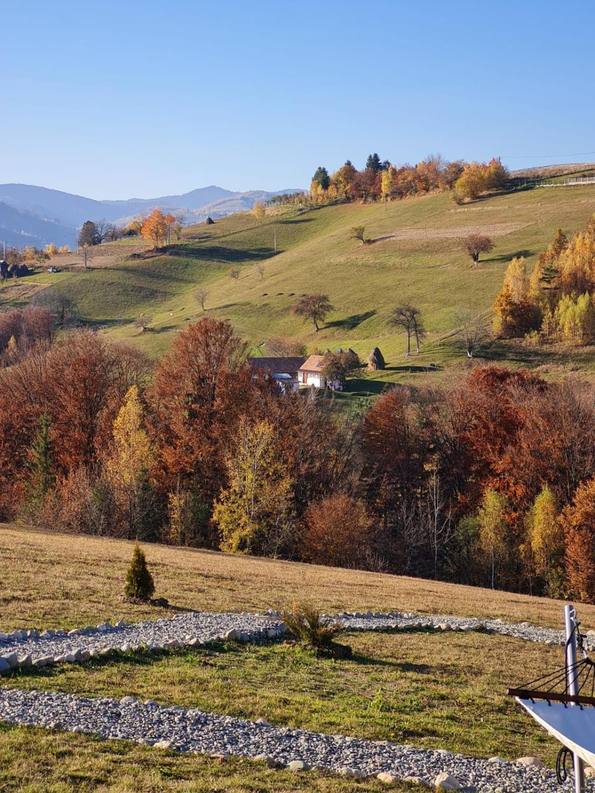 My Little Village Poiana Mărului Zewnętrze zdjęcie
