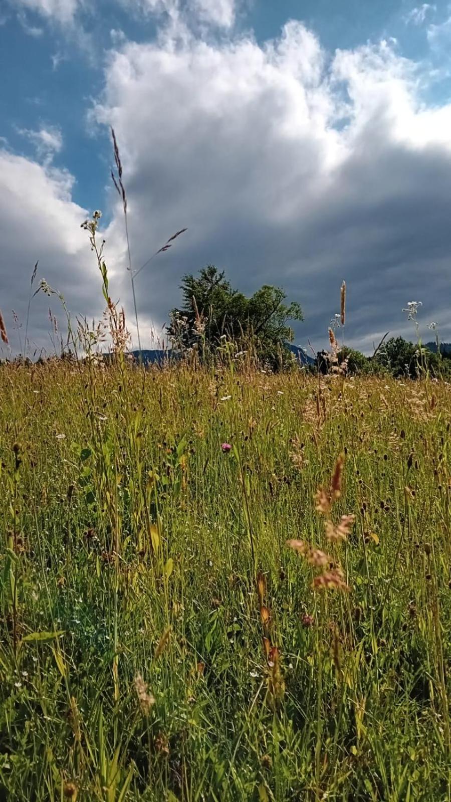 My Little Village Poiana Mărului Zewnętrze zdjęcie